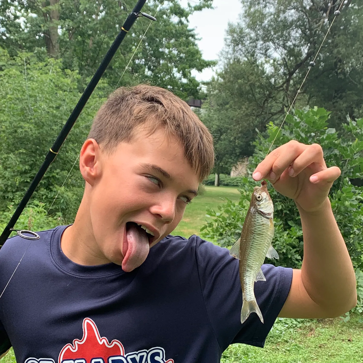 The most recent Striped shiner catches on Fishbrain
