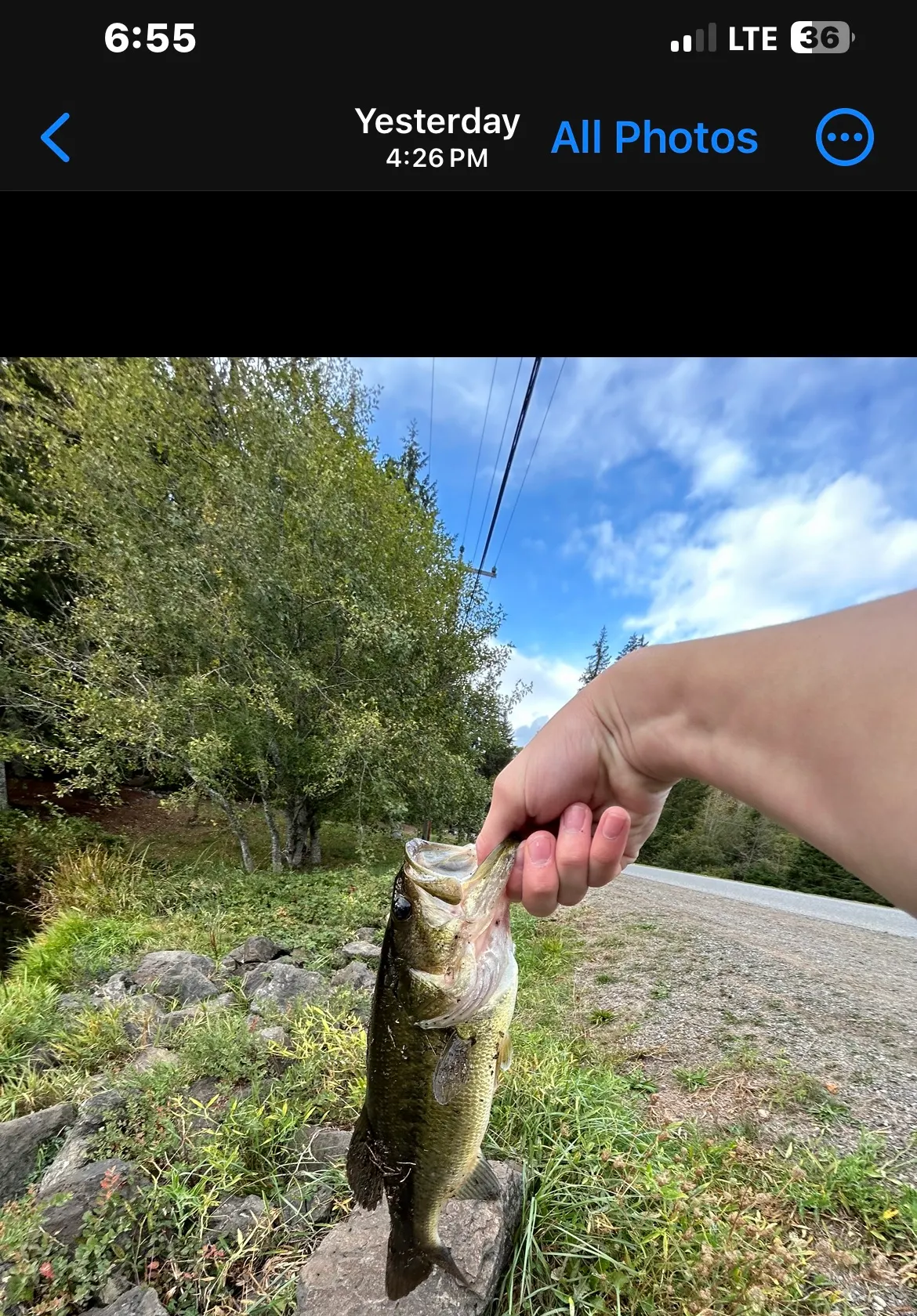 recently logged catches