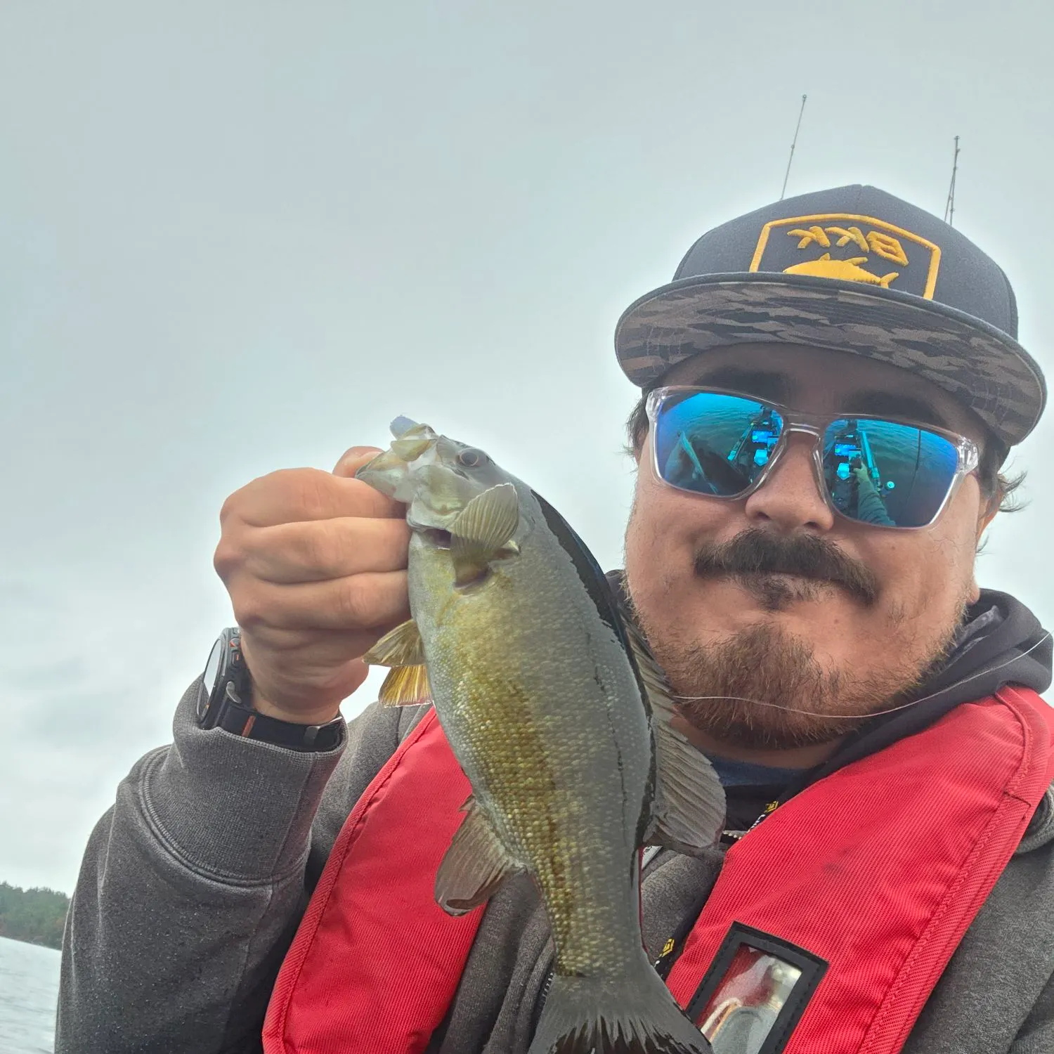Smallmouth bass caught on Fishbrain