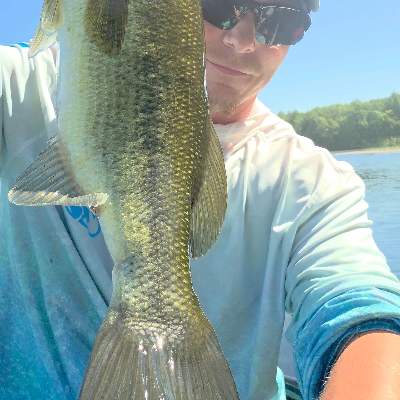 Largemouth bass caught on Fishbrain