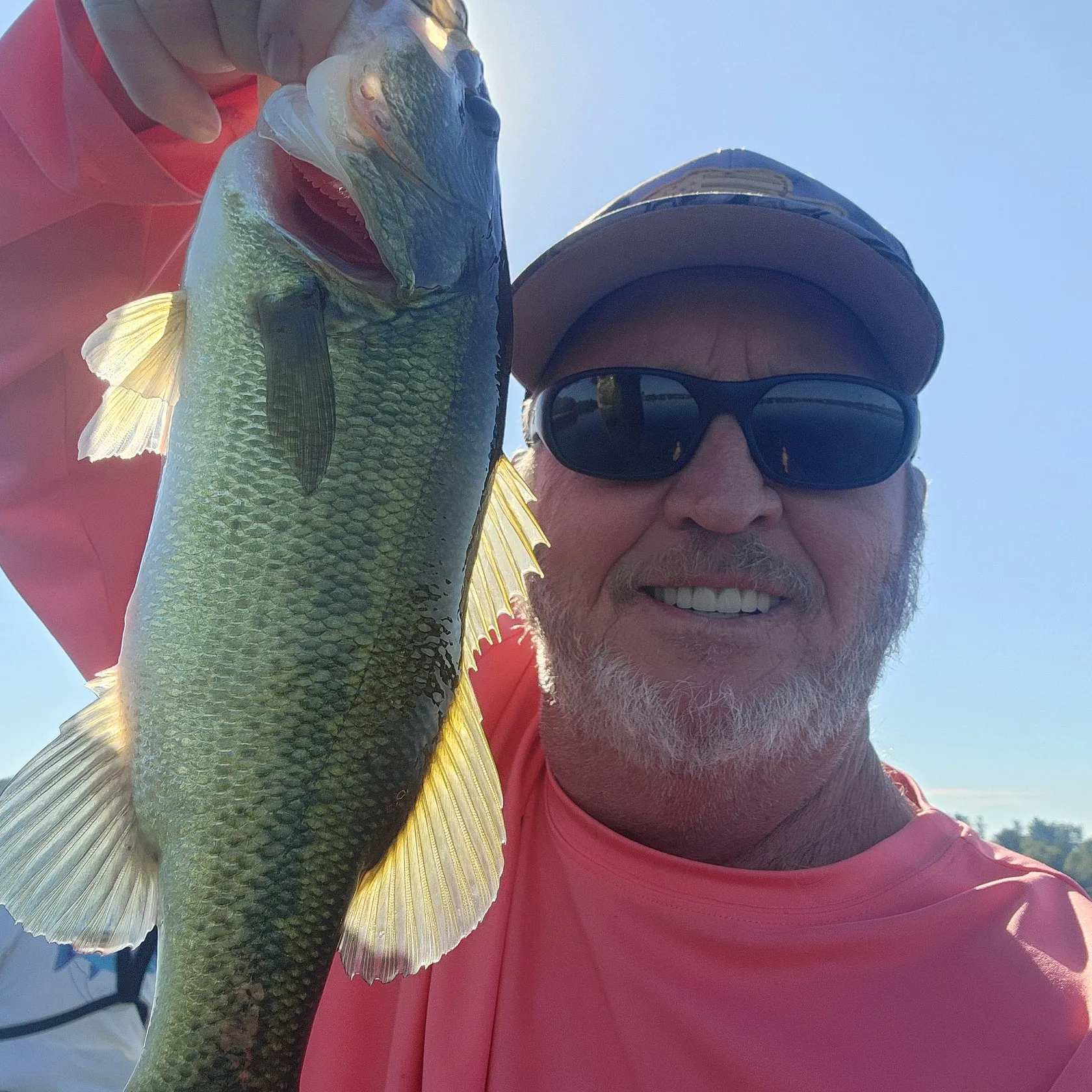 Largemouth bass caught on Fishbrain