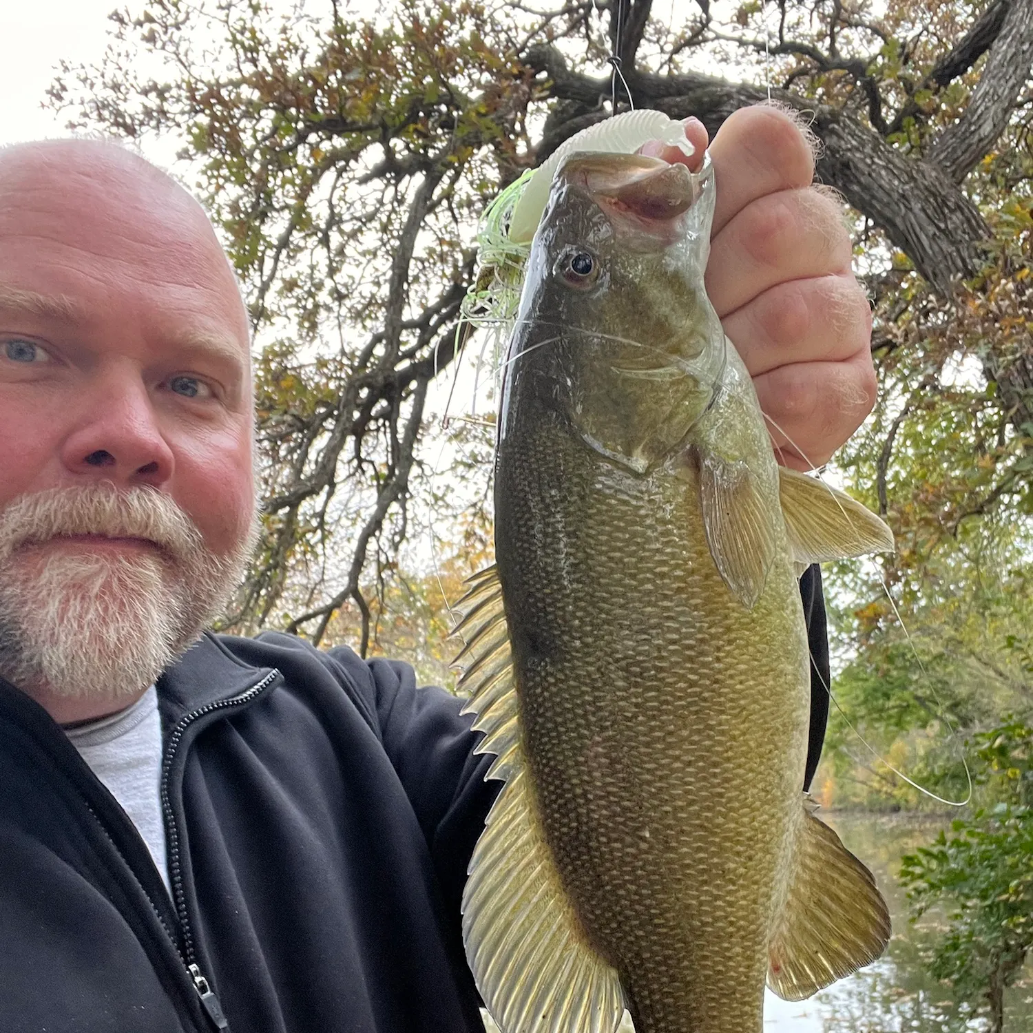 Smallmouth bass caught on Fishbrain