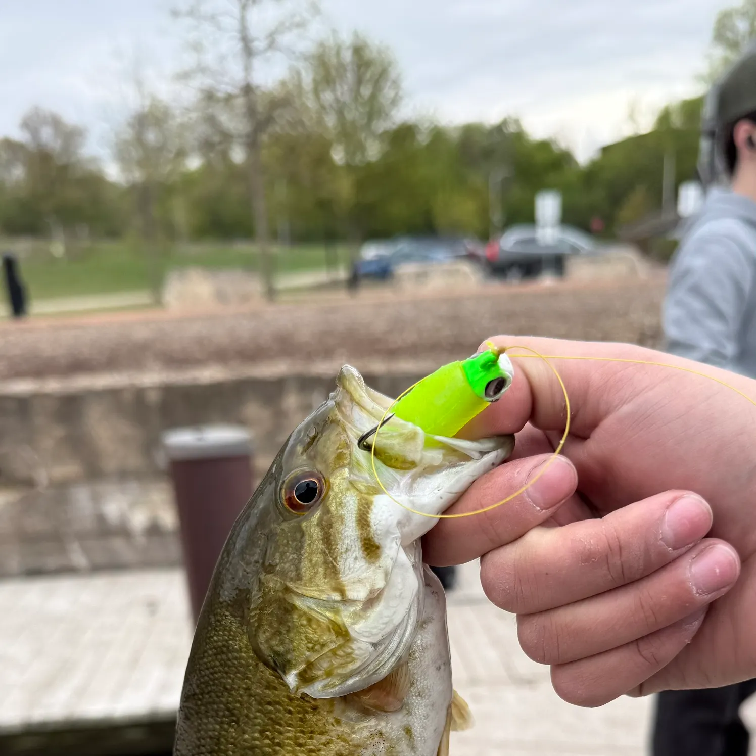 catch