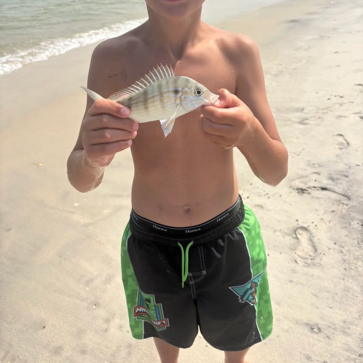 The most recent Javelin grunter catches on Fishbrain
