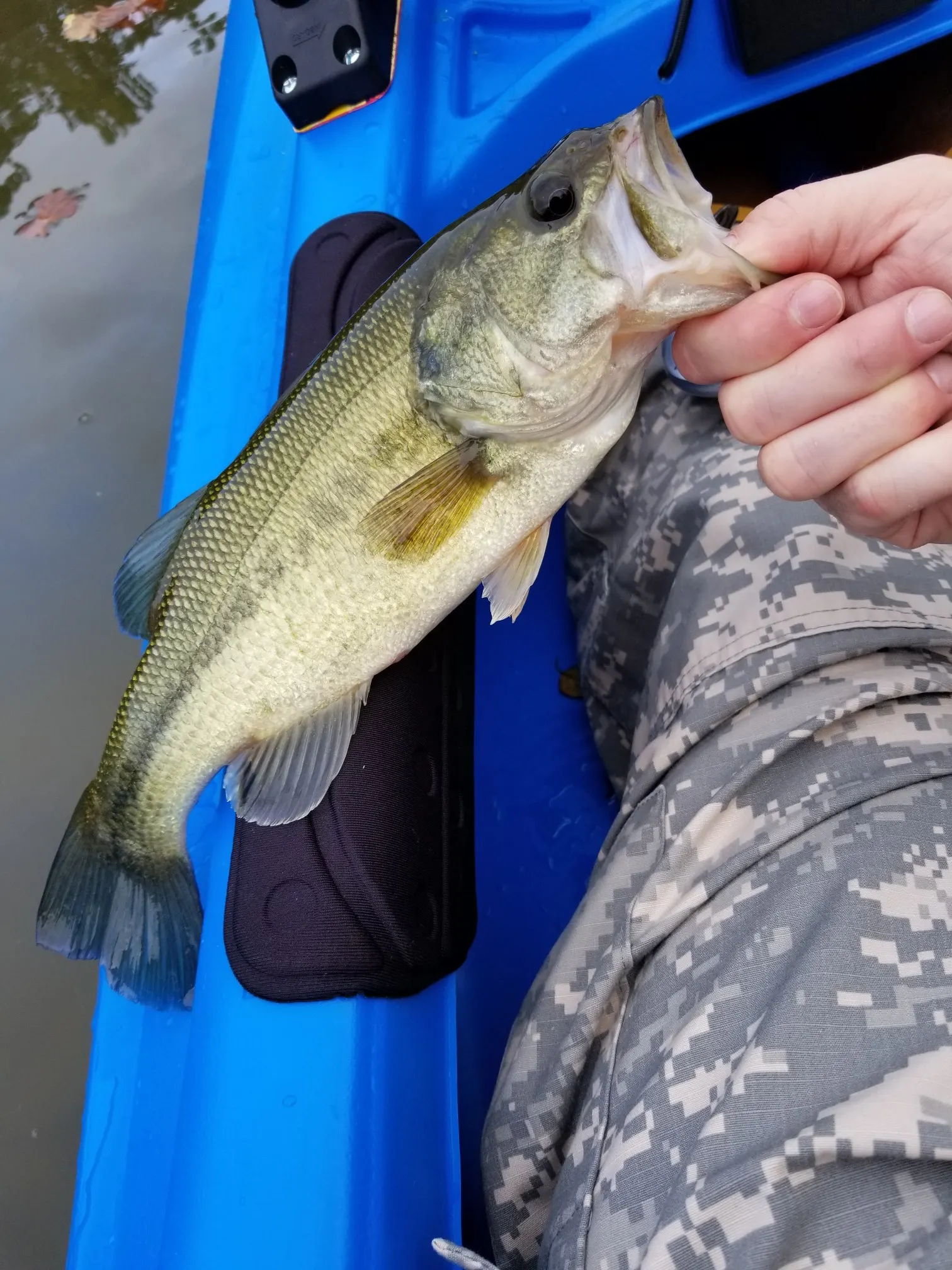 Post image from KayakSoldier