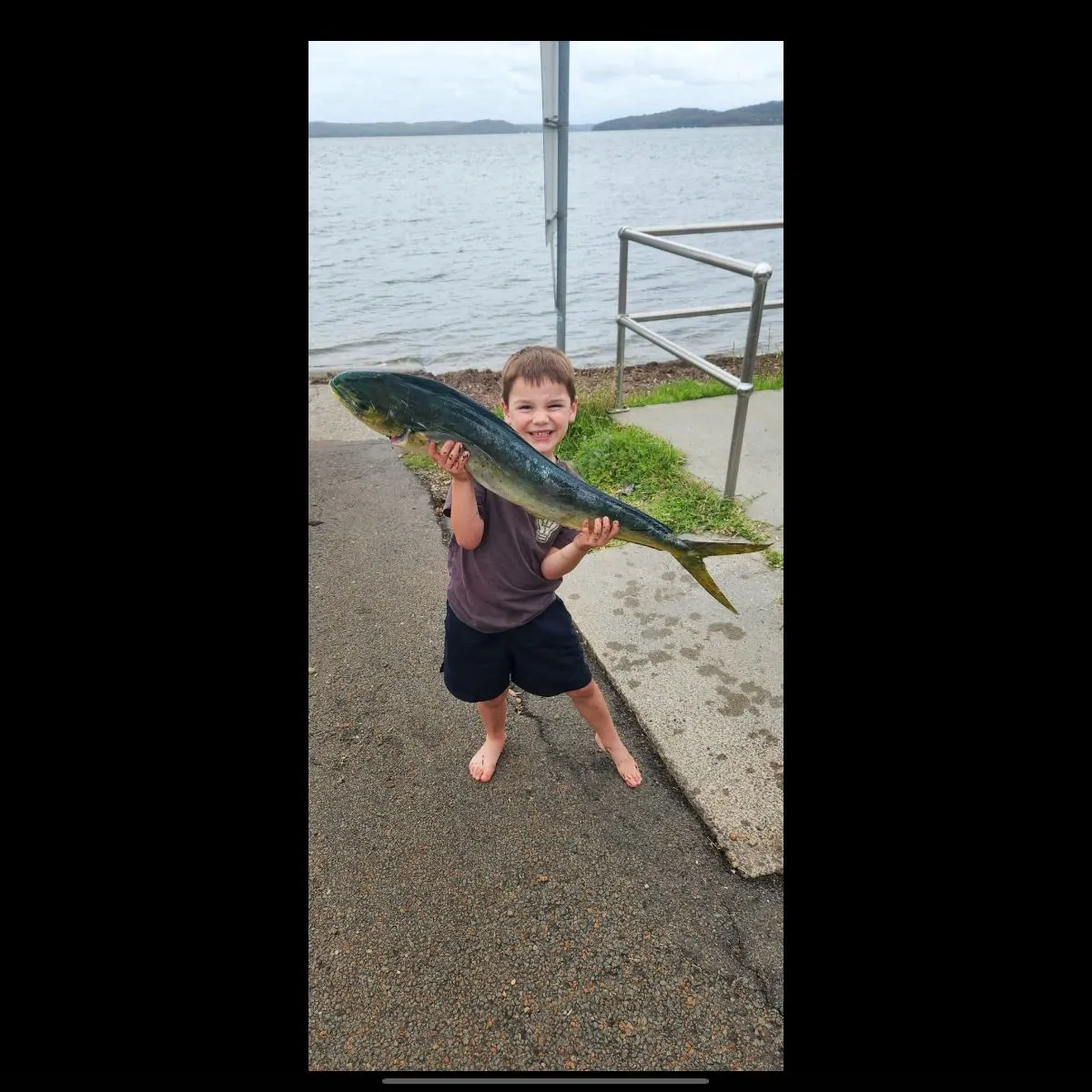 Common dolphinfish caught on Fishbrain