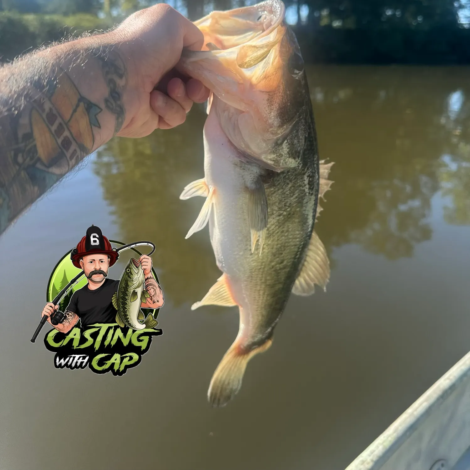 Largemouth bass caught on Fishbrain