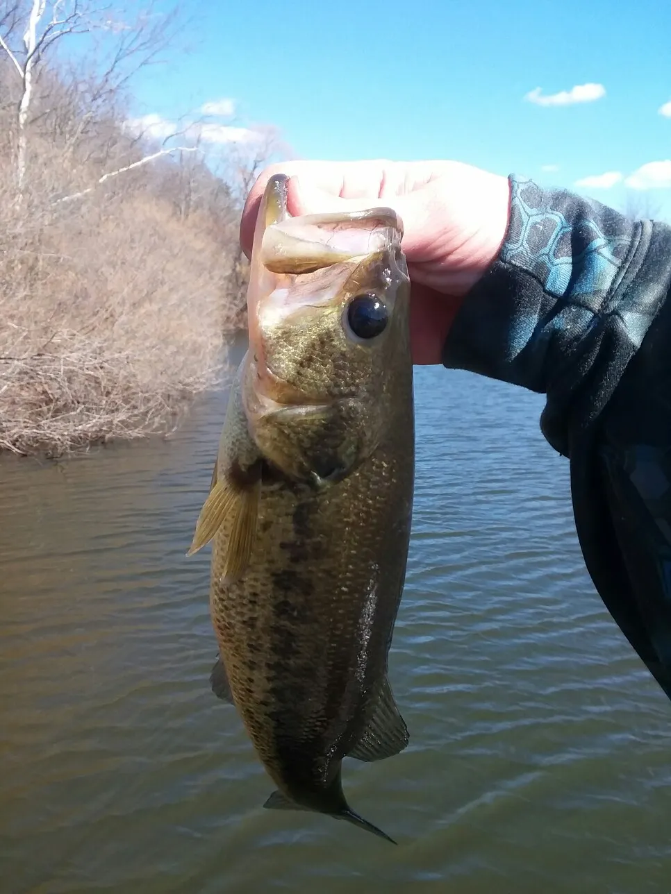 Post image from spurves