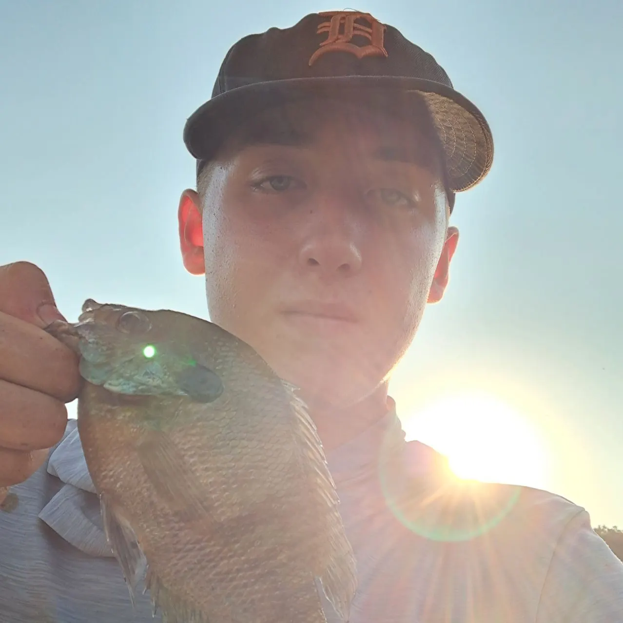 Bluegill caught on Fishbrain