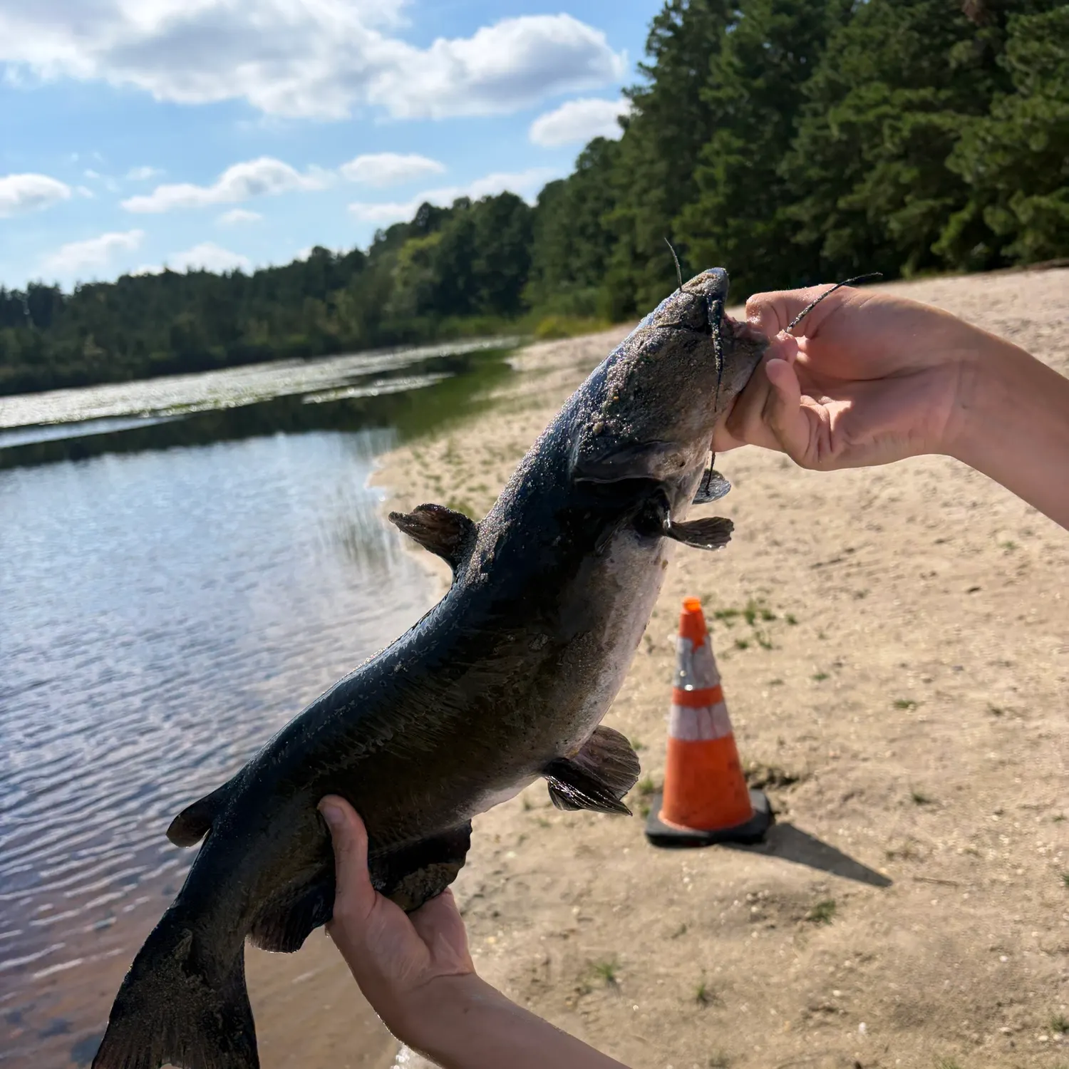 catch
