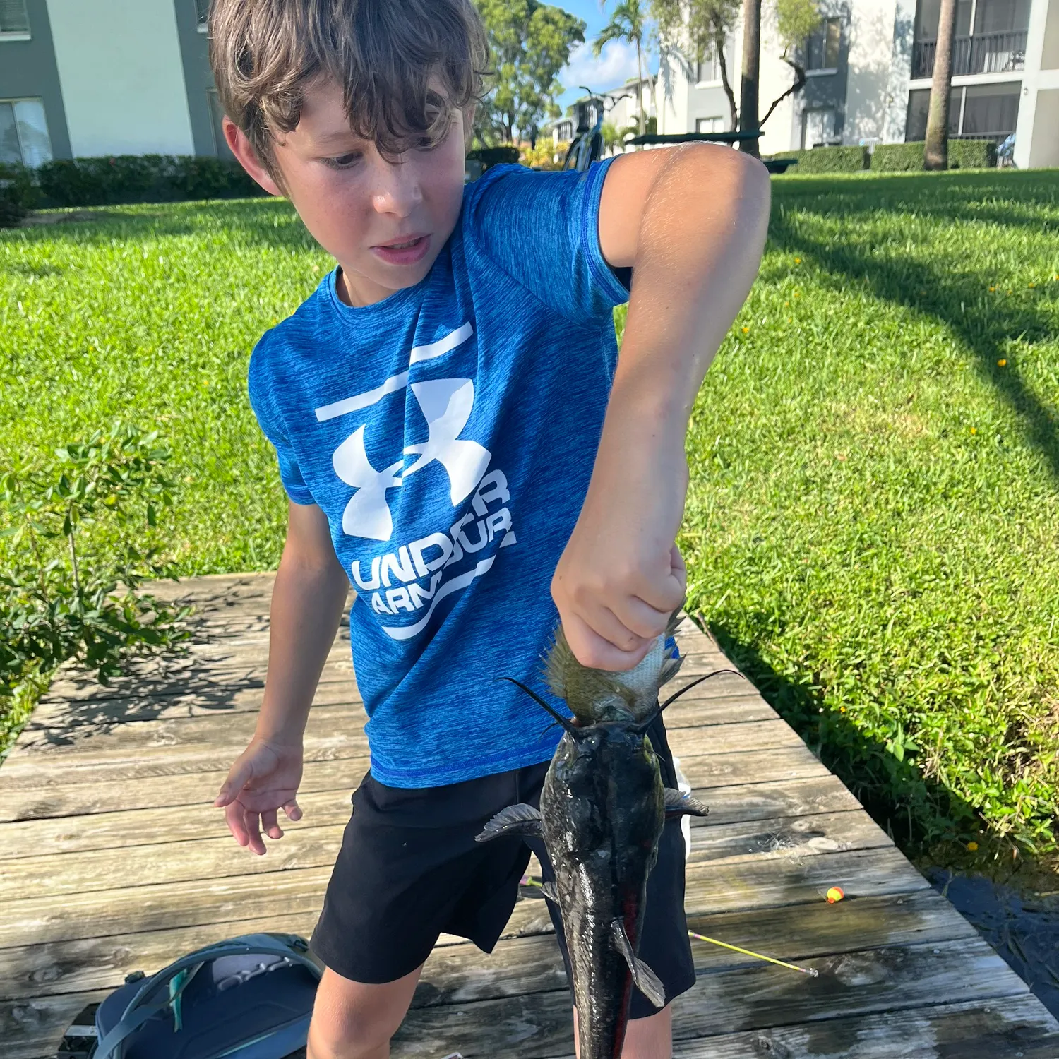 Channel catfish caught on Fishbrain