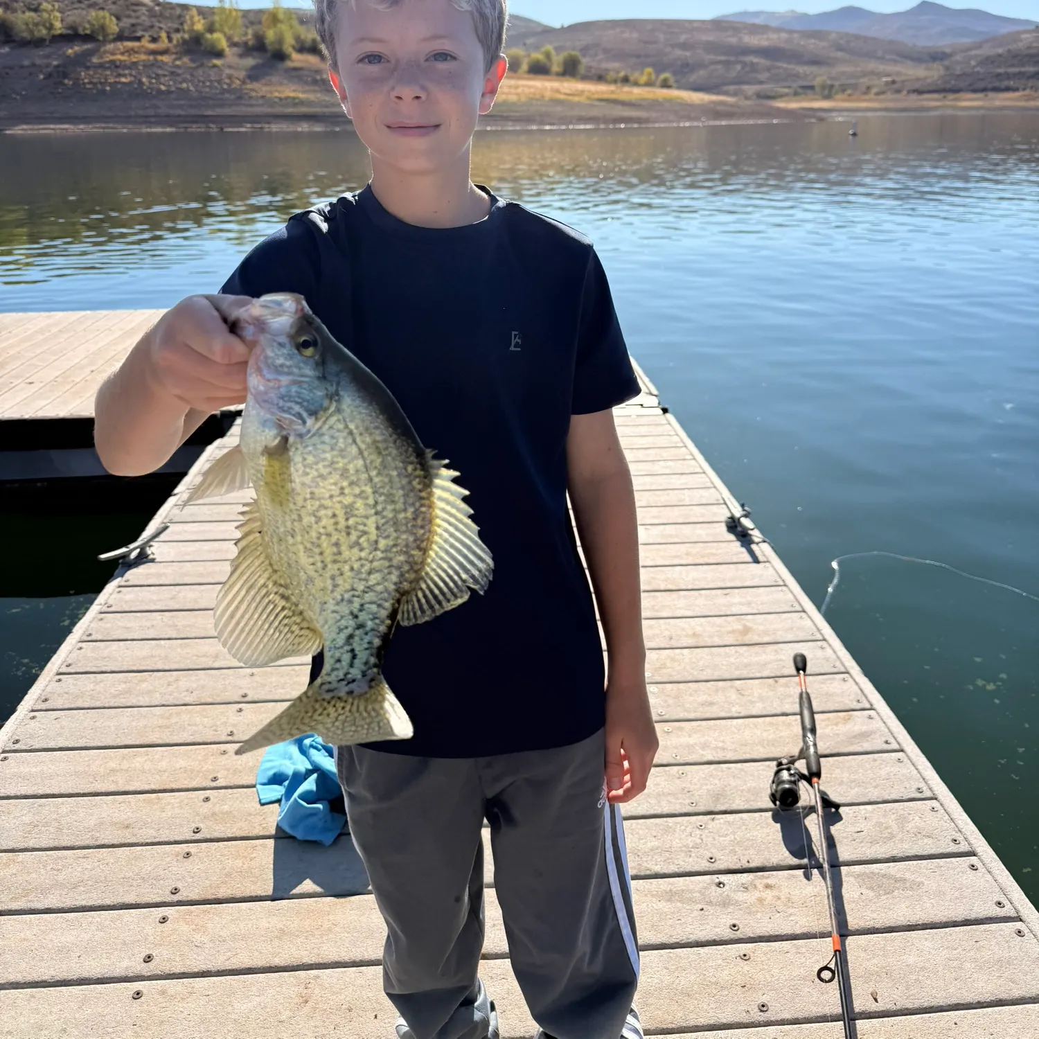Black crappie caught on Fishbrain