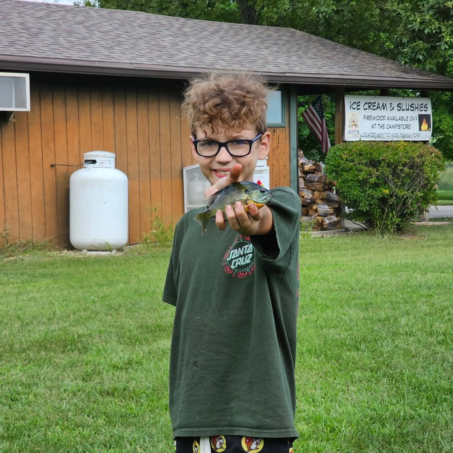 Bluegill caught on Fishbrain