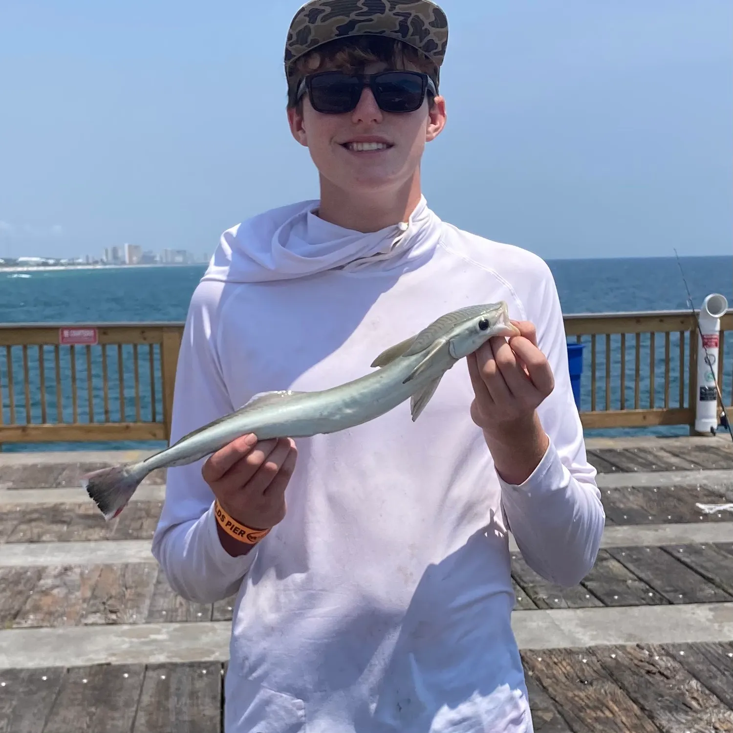 The most recent Common remora catches on Fishbrain