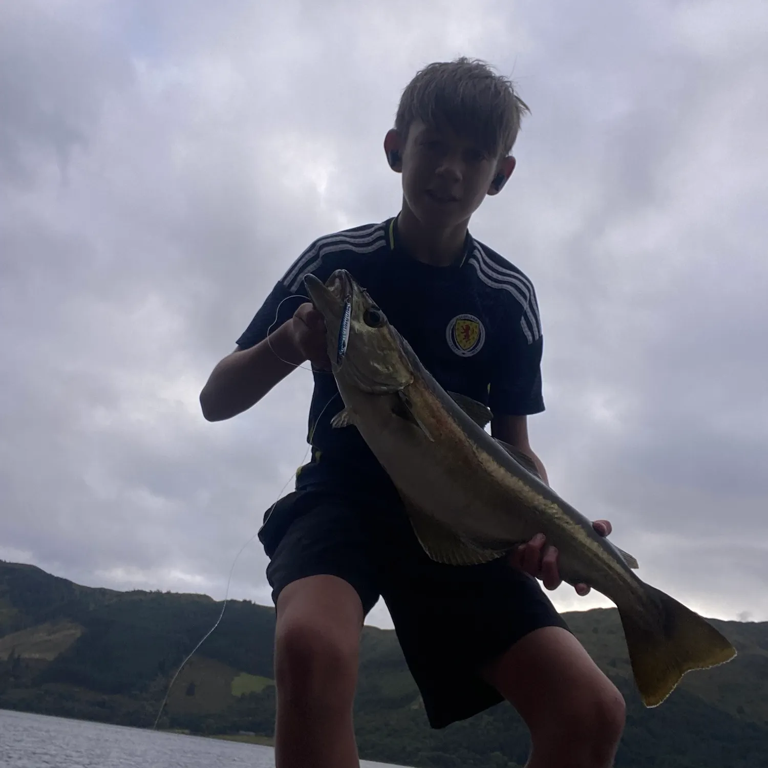 The most recent Pollack catches on Fishbrain