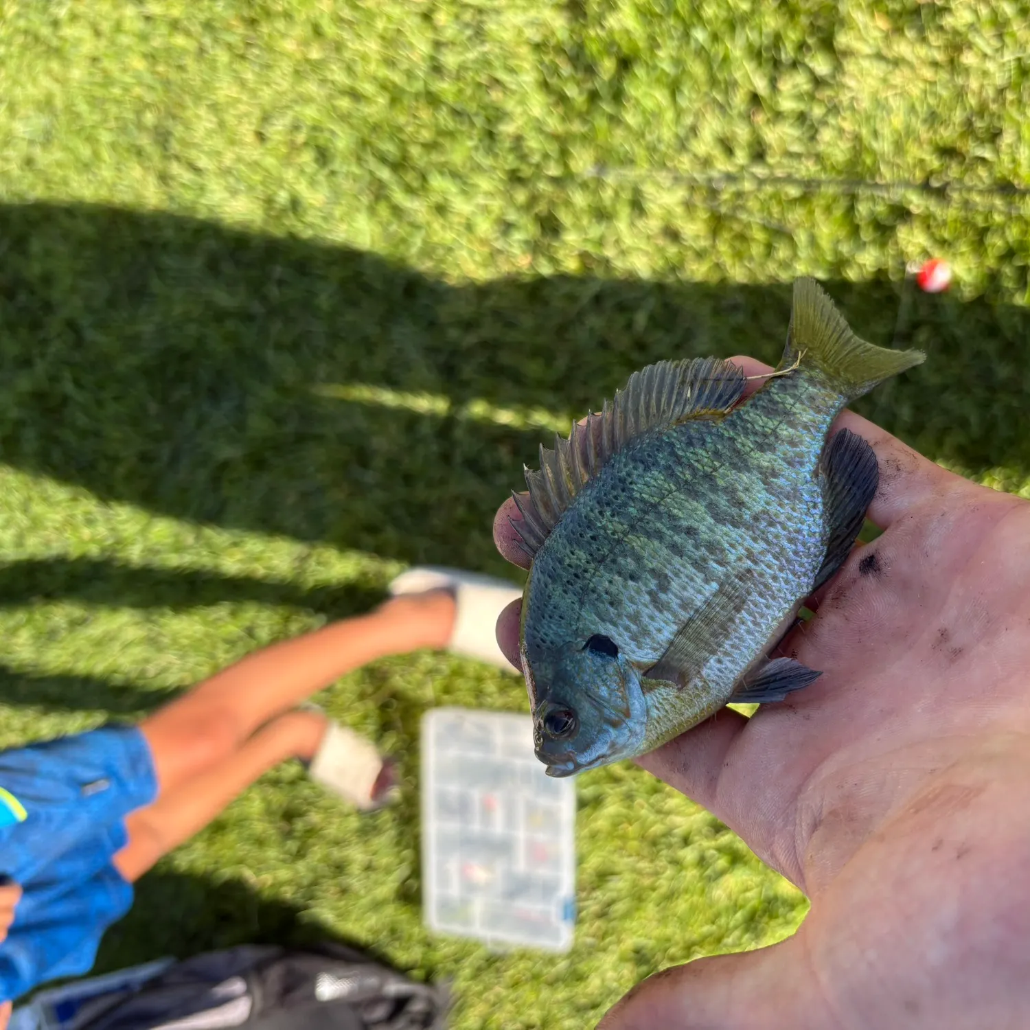 catch