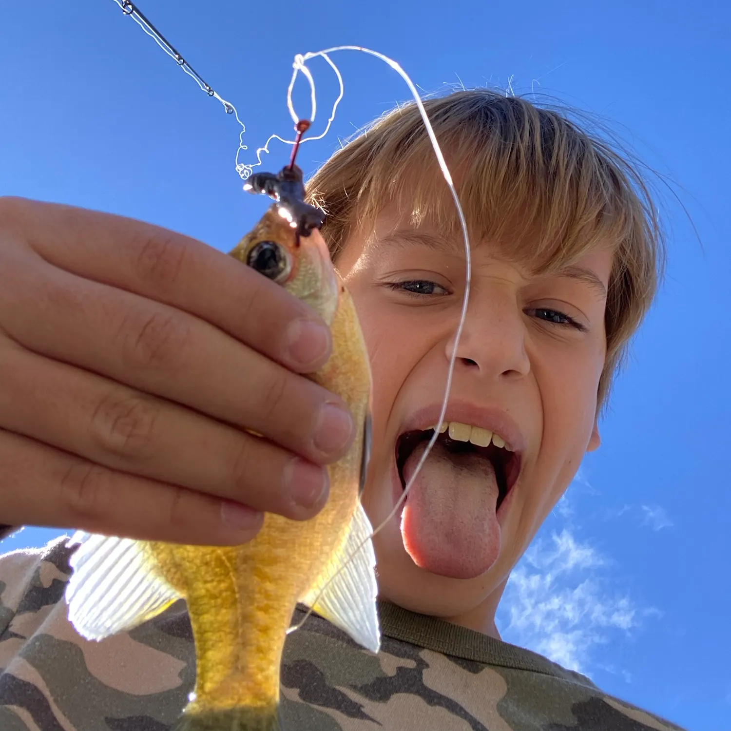 Bluegill caught on Fishbrain