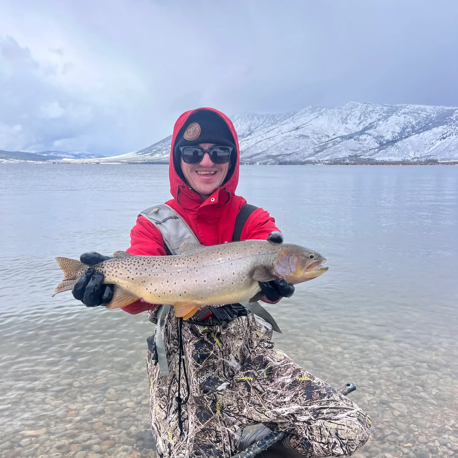 The most recent Yellowstone cutthroat trout catches on Fishbrain