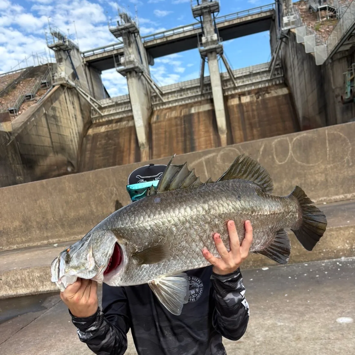The most recent Barramundi catches on Fishbrain