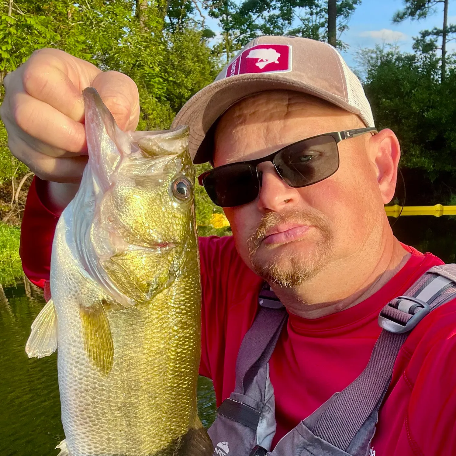 Largemouth bass caught on Fishbrain