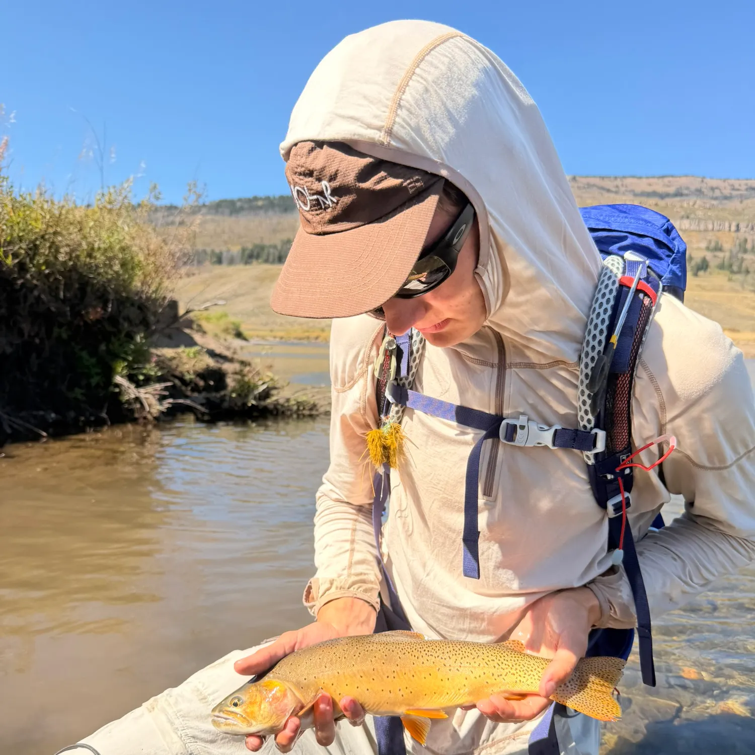 The most recent Yellowstone cutthroat trout catches on Fishbrain