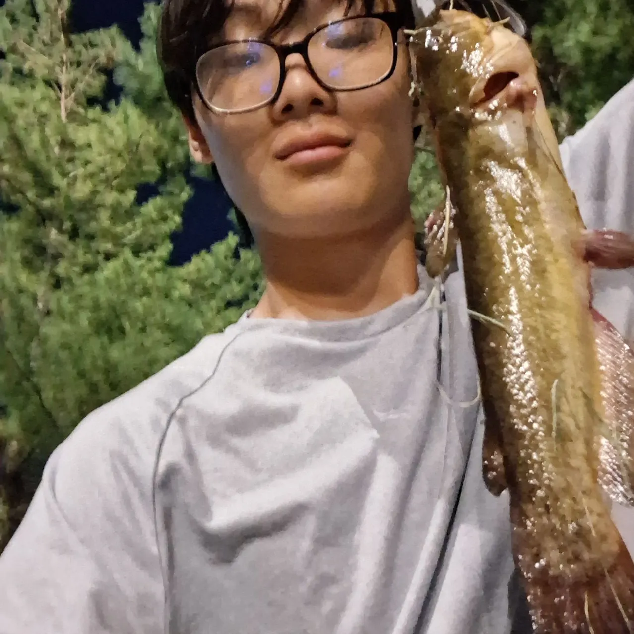 Yellow bullhead caught on Fishbrain