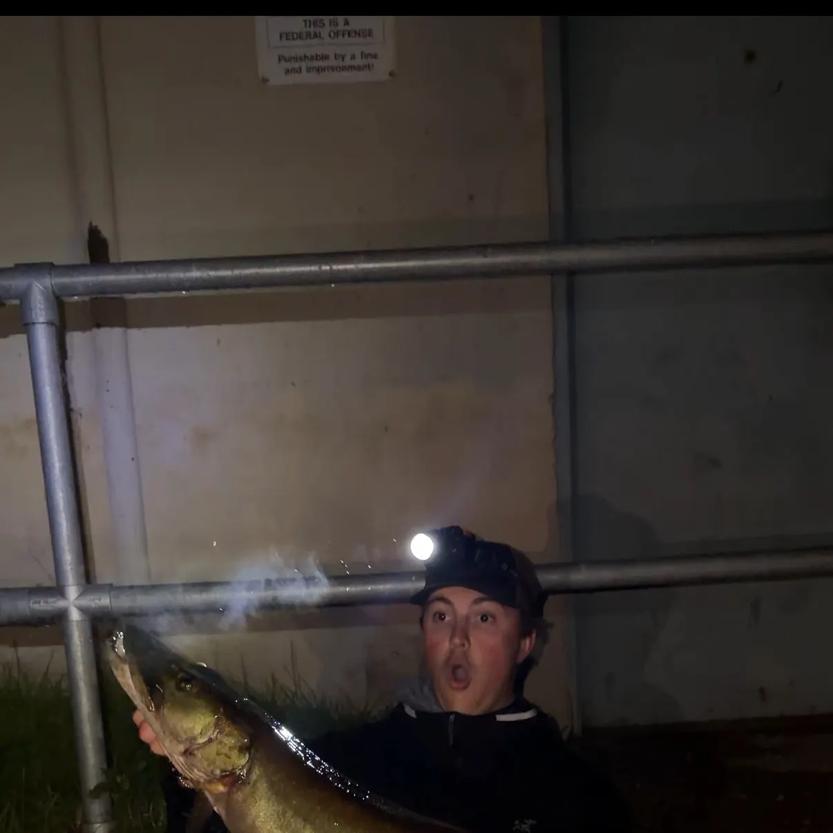 Muskie caught on Fishbrain
