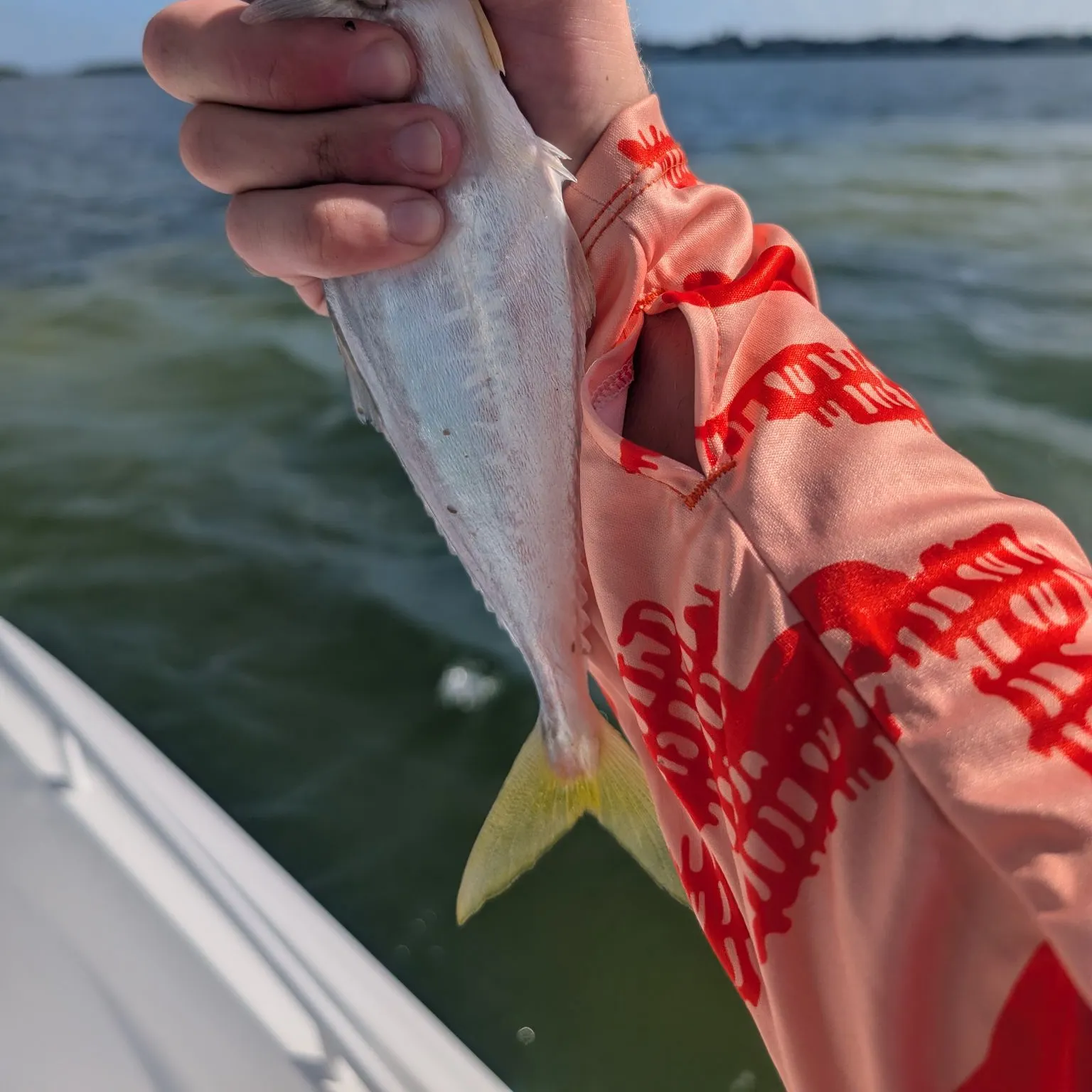 The most recent Leatherjack catches on Fishbrain