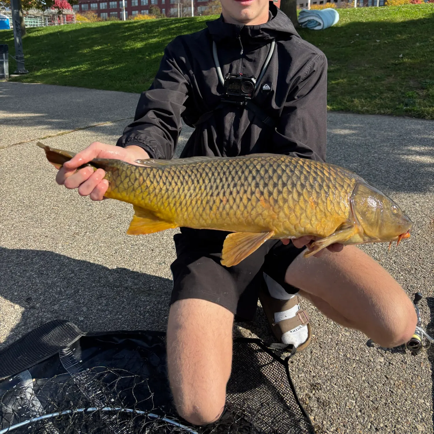 catch
