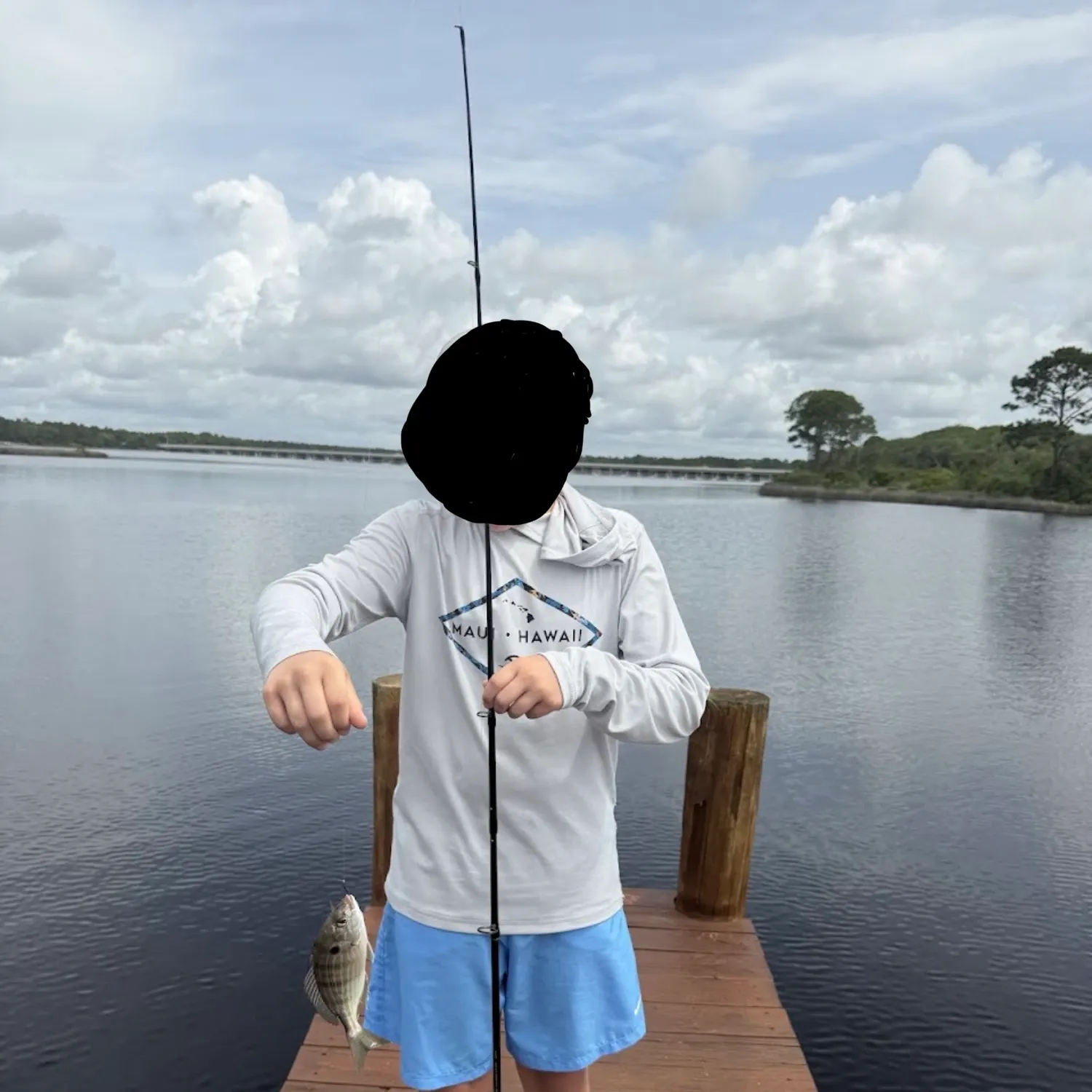 Pinfish caught on Fishbrain
