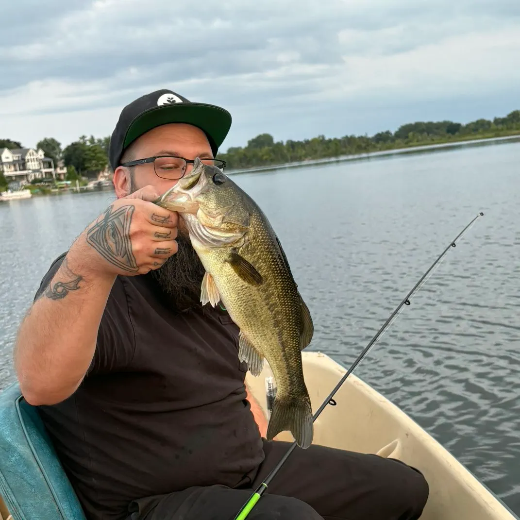 Largemouth bass caught on Fishbrain