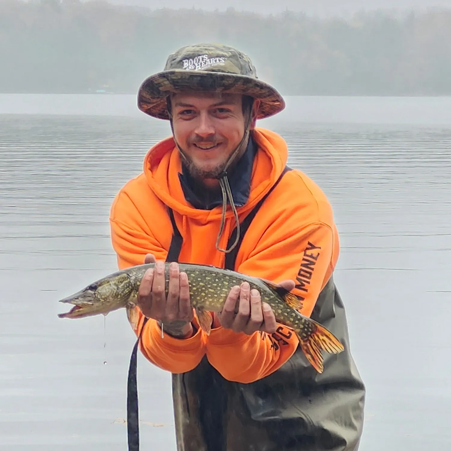 Northern pike caught on Fishbrain