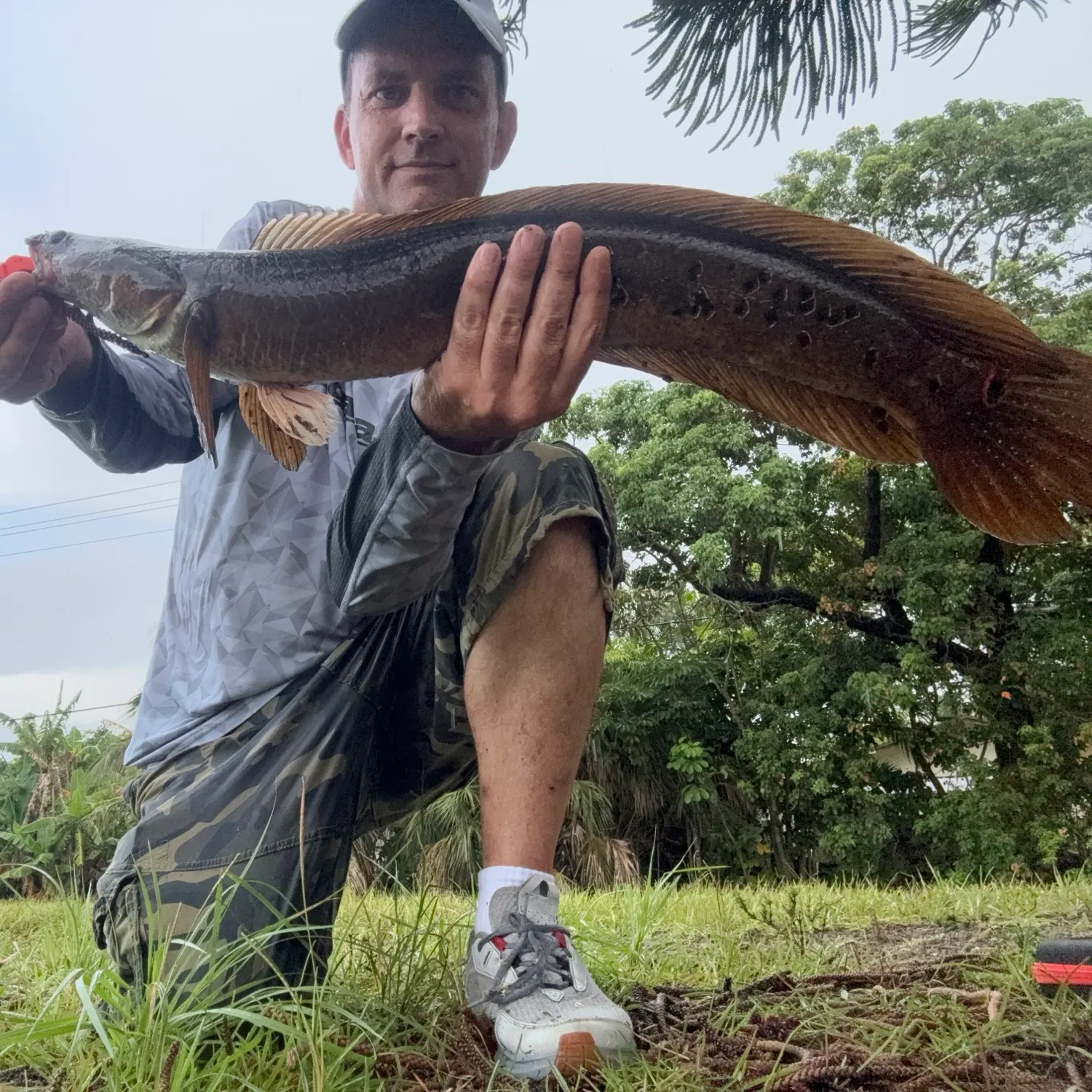 The most recent Bullseye snakehead catches on Fishbrain