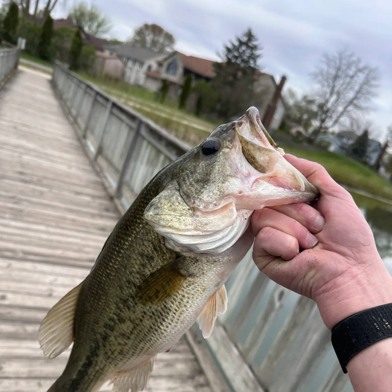 catch