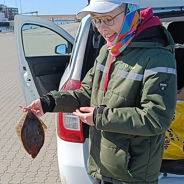 The most recent European plaice catches on Fishbrain