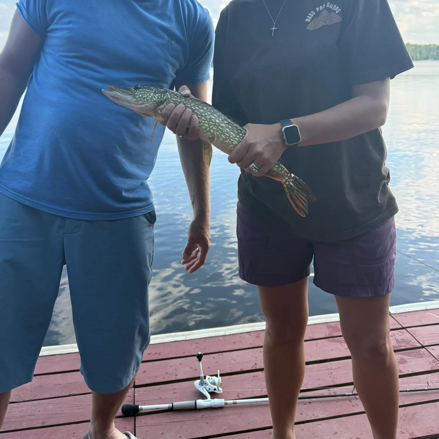 Northern pike caught on Fishbrain
