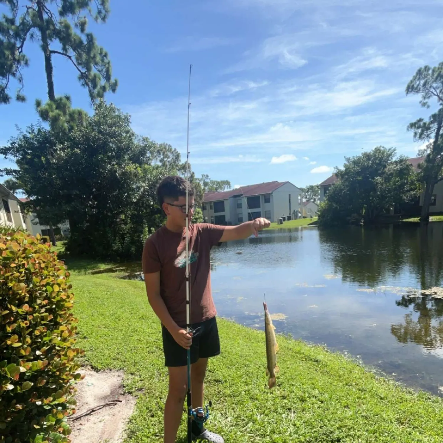 most liked catch image