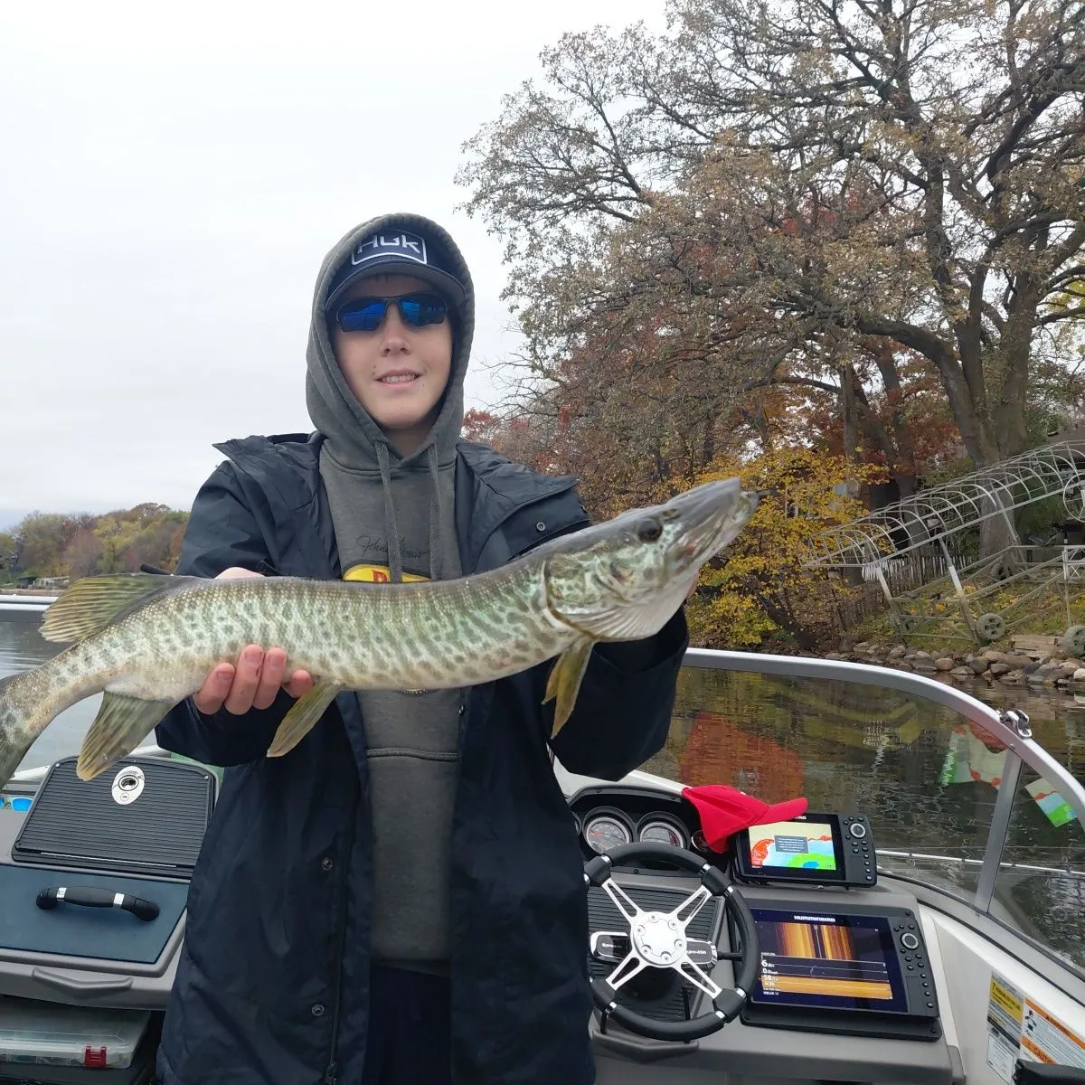 Tiger muskie caught on Fishbrain