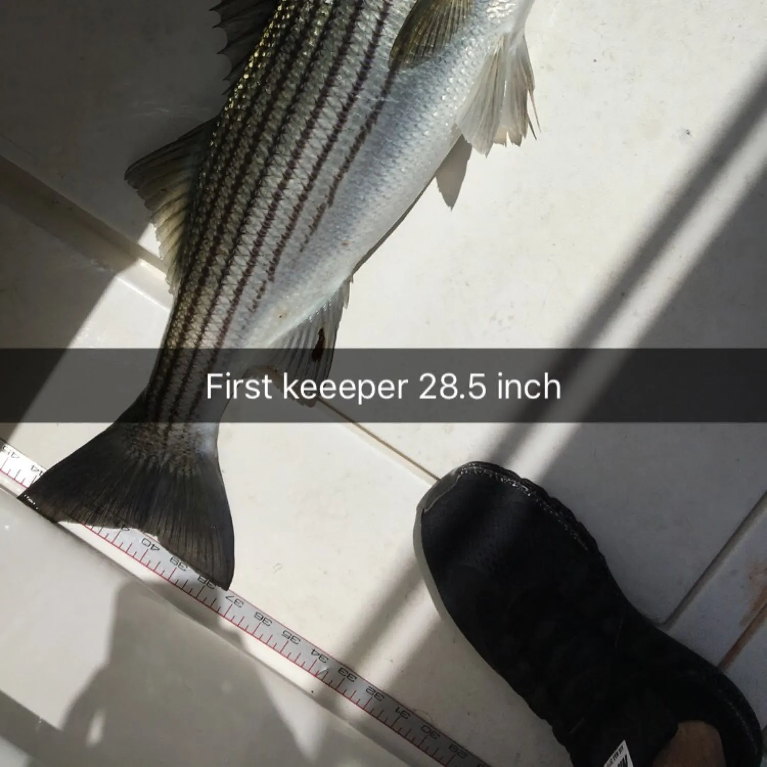 angler catch