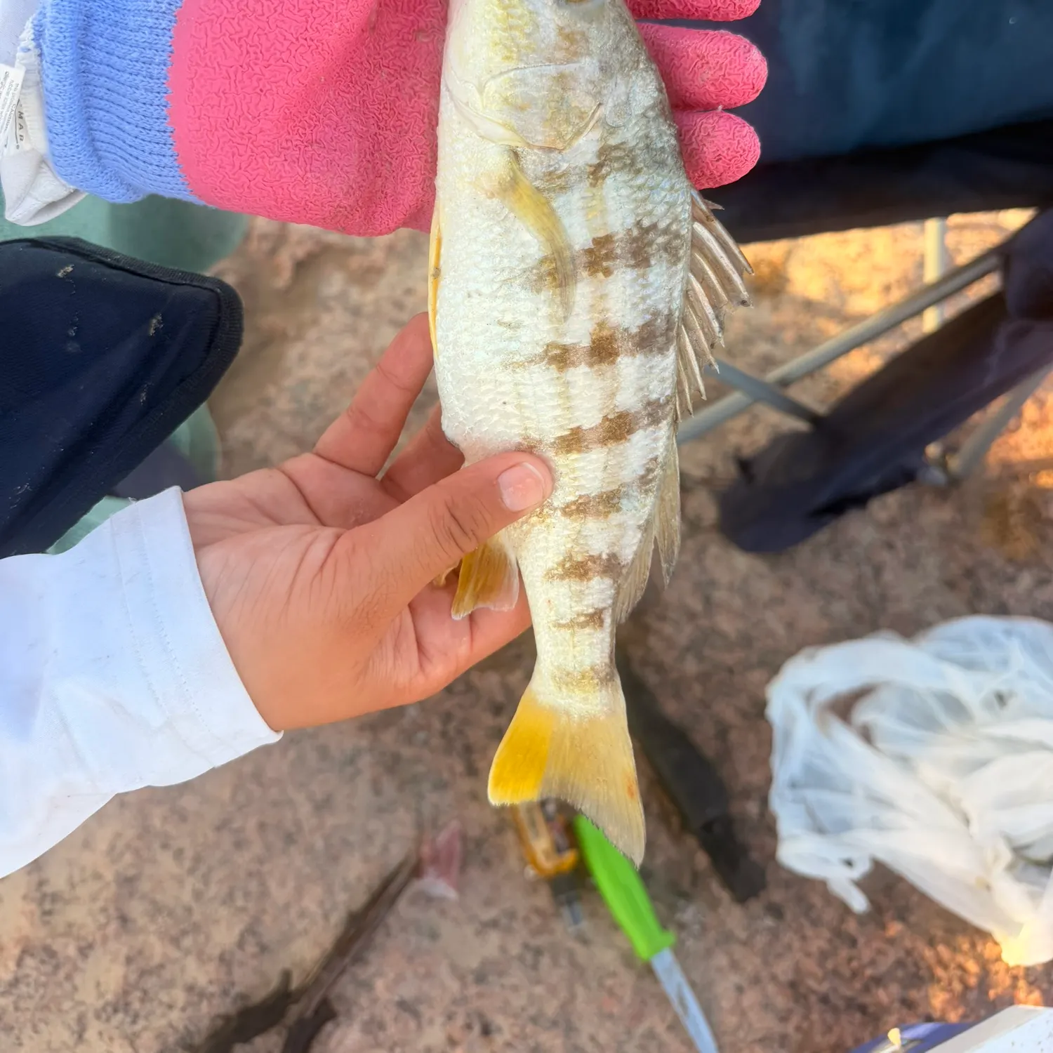 catch