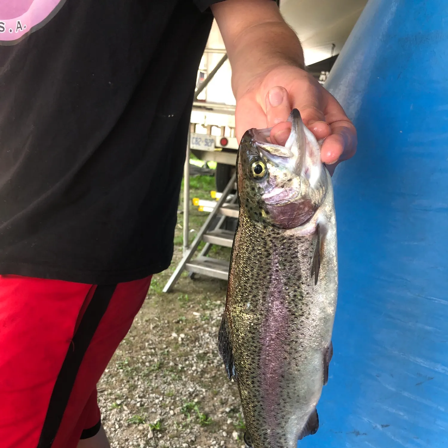 Fish caught on Fishbrain