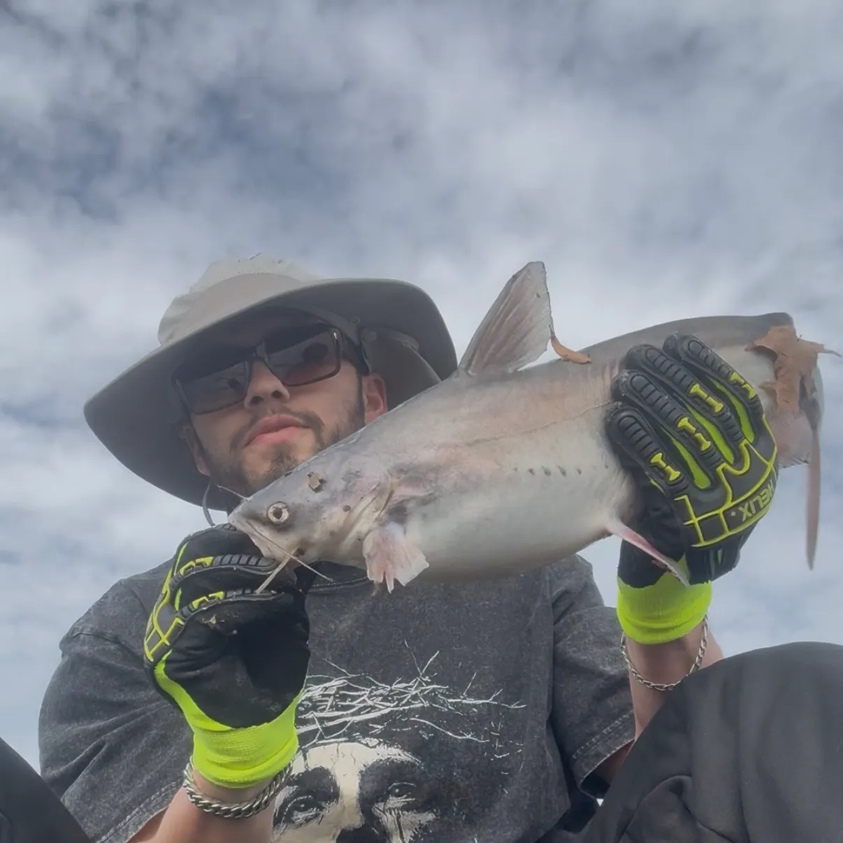The most recent Blue catfish catches on Fishbrain