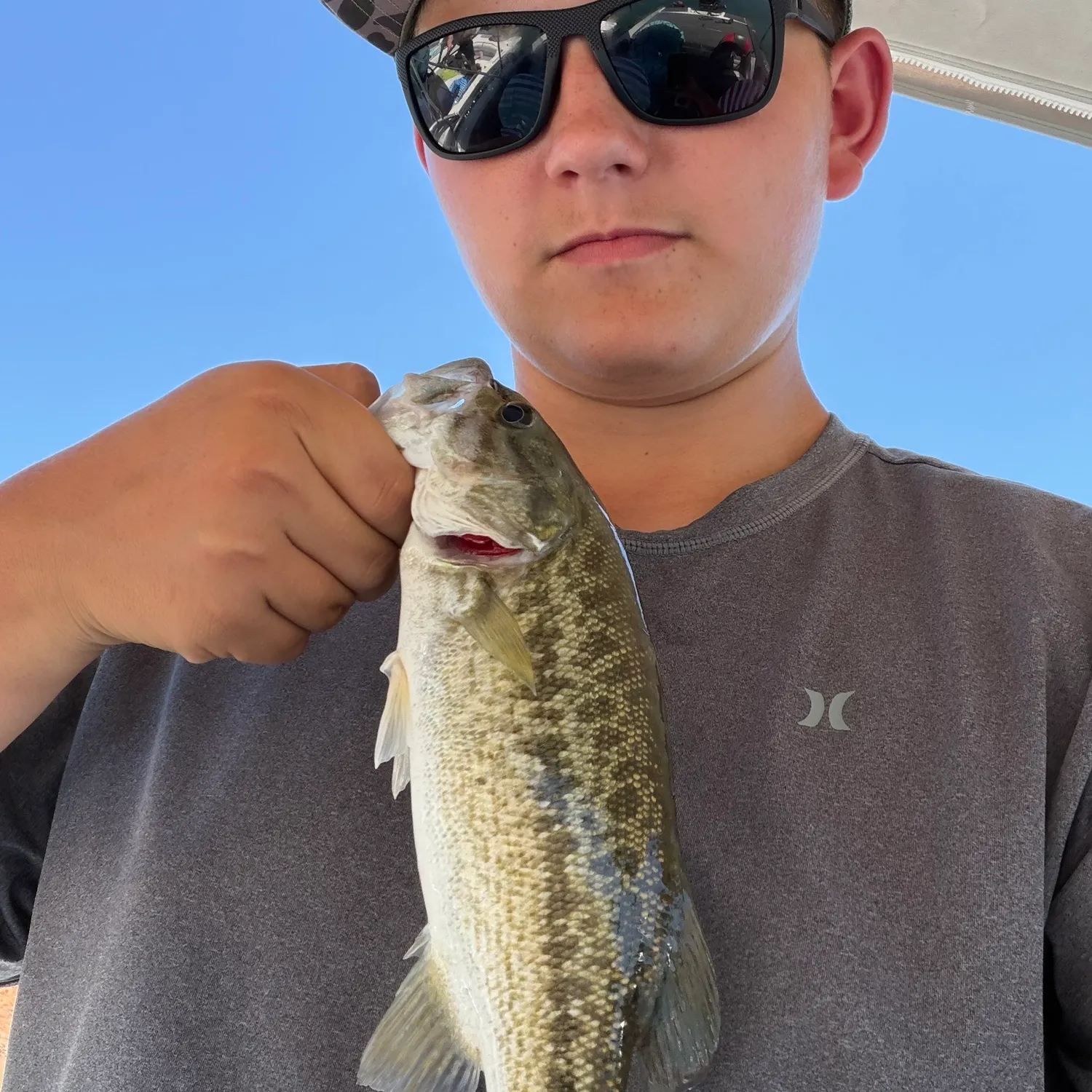 The most recent Meanmouth bass catches on Fishbrain