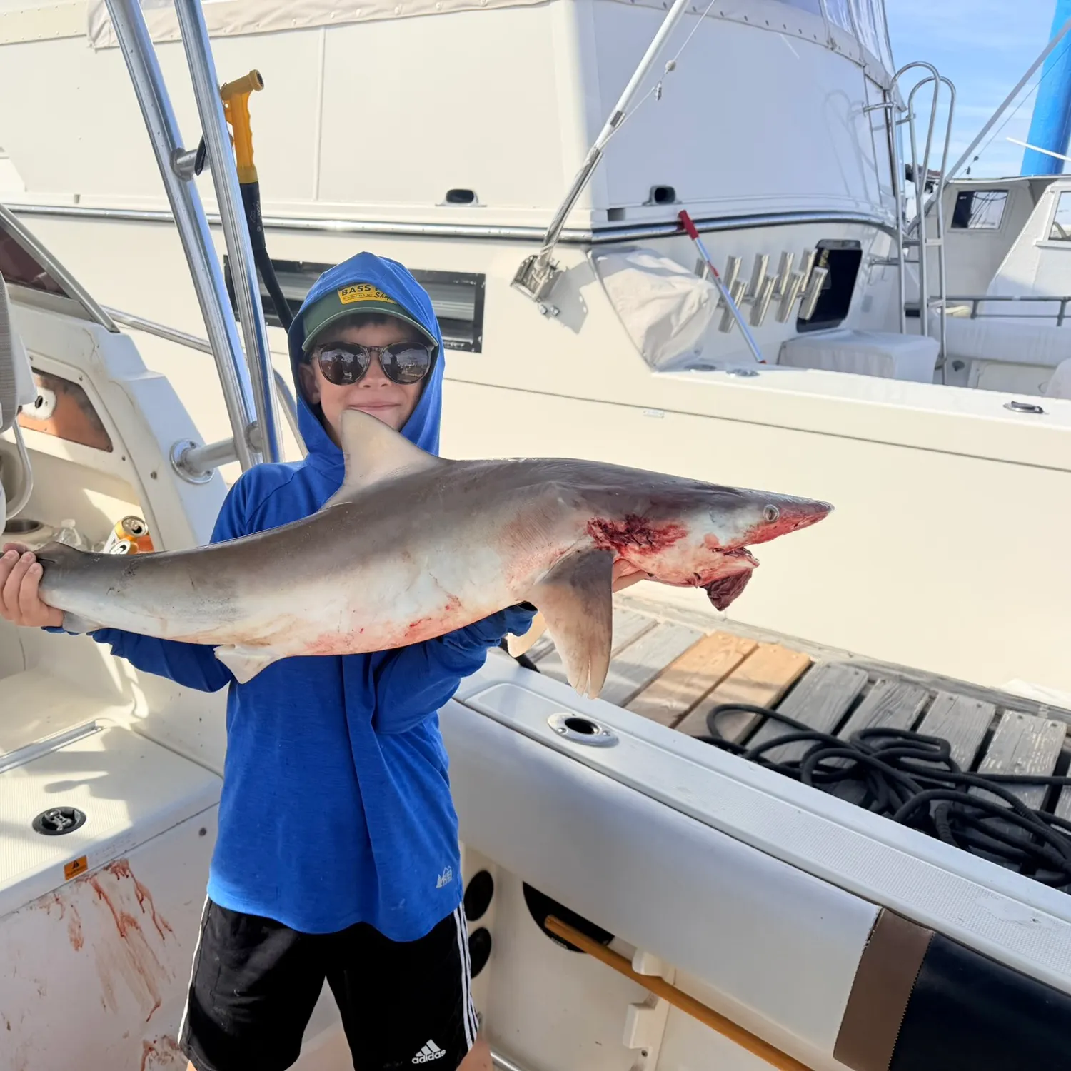 The most recent Shortfin mako shark catches on Fishbrain