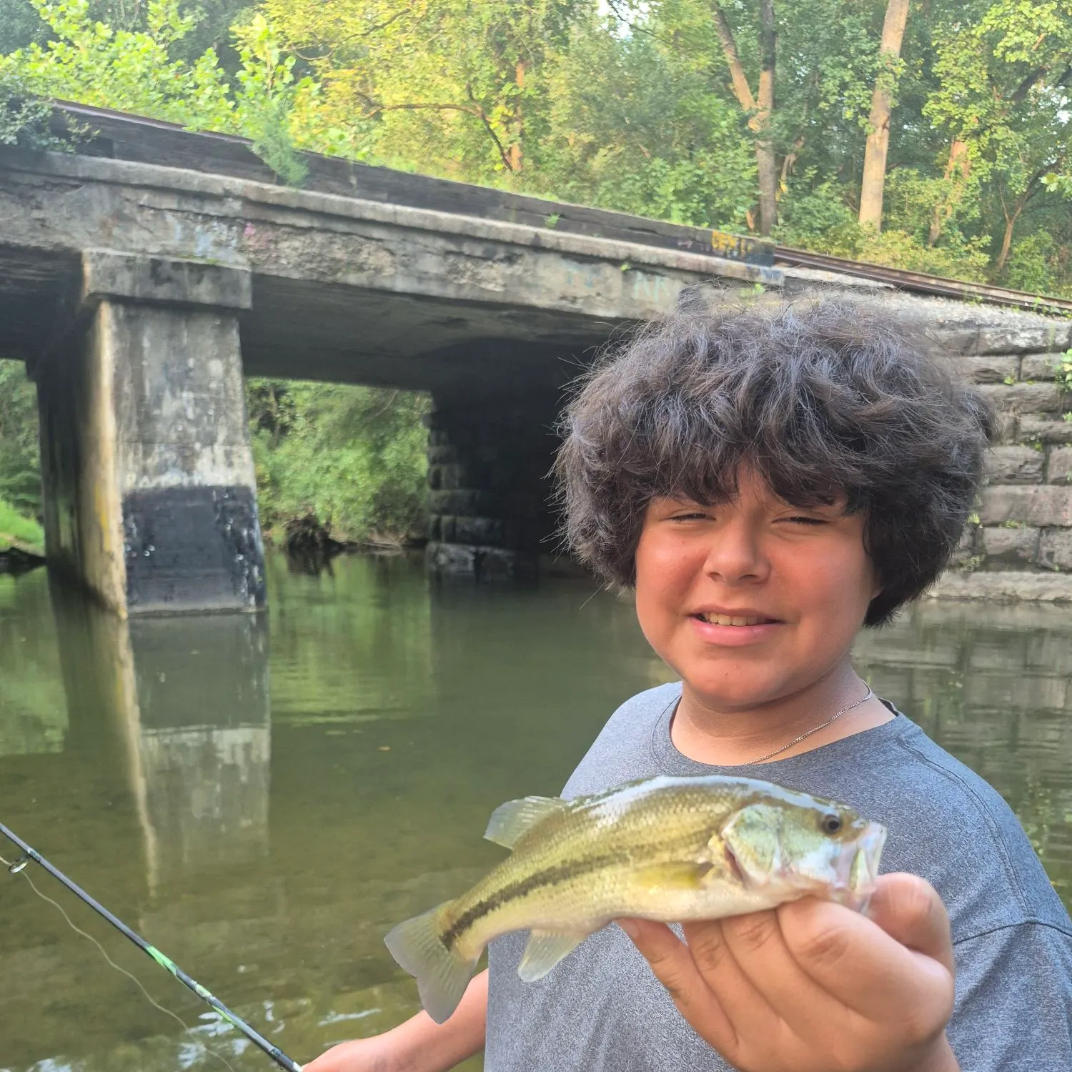 Spotted bass caught on Fishbrain