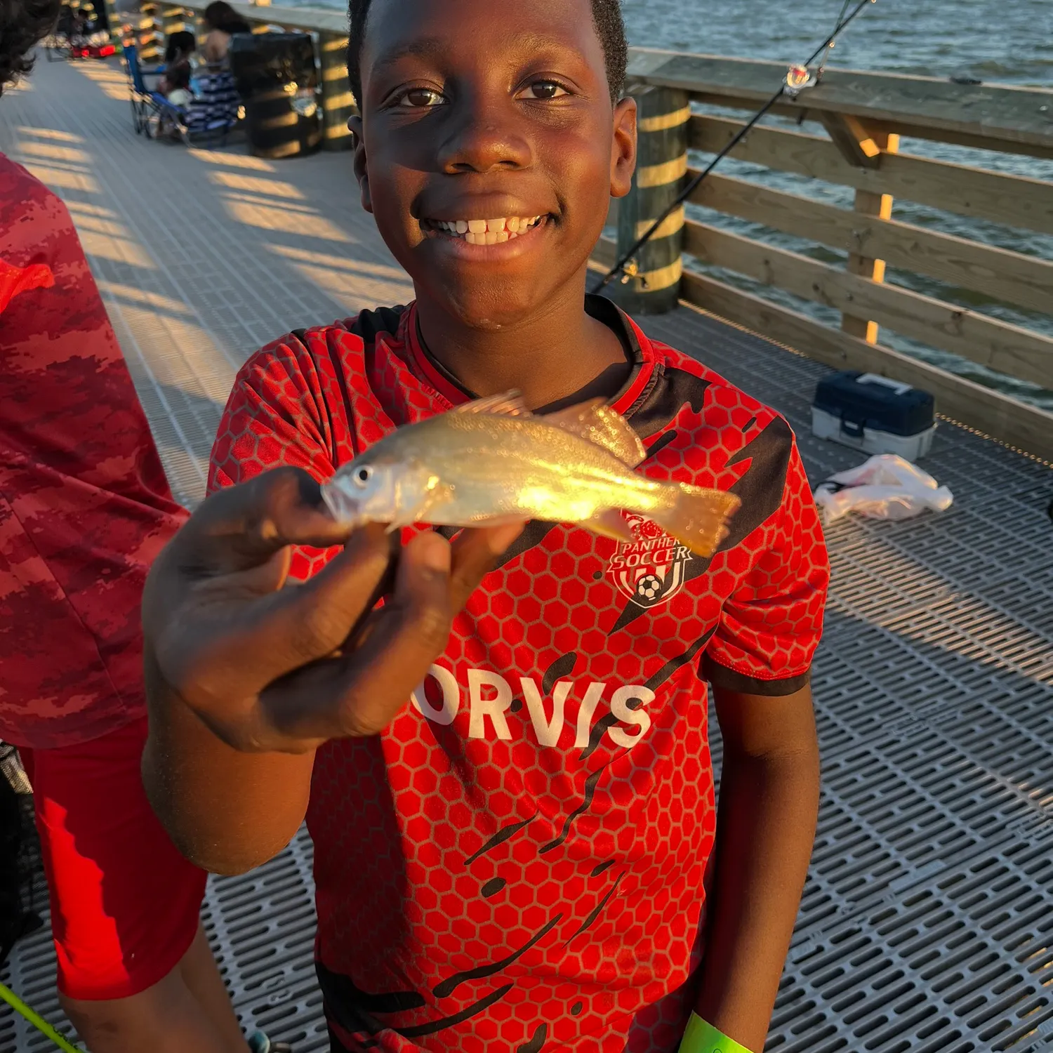 Sand seatrout caught on Fishbrain