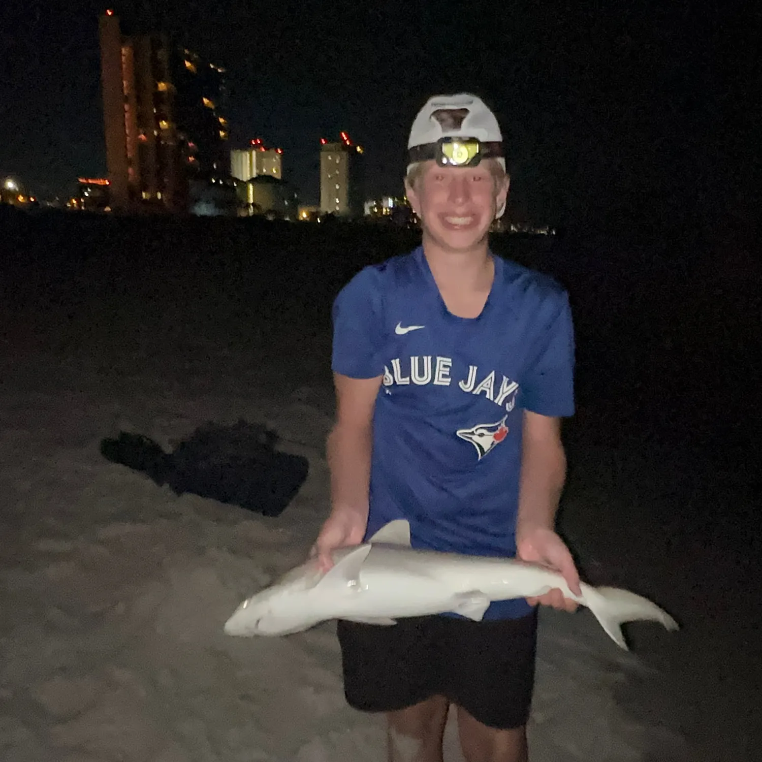 The most recent Spinner shark catches on Fishbrain