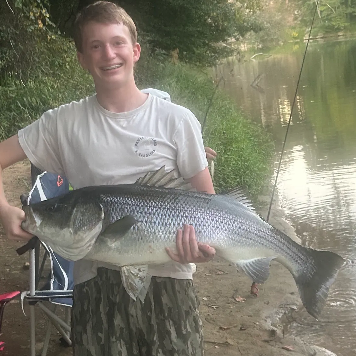 Striped bass caught on Fishbrain