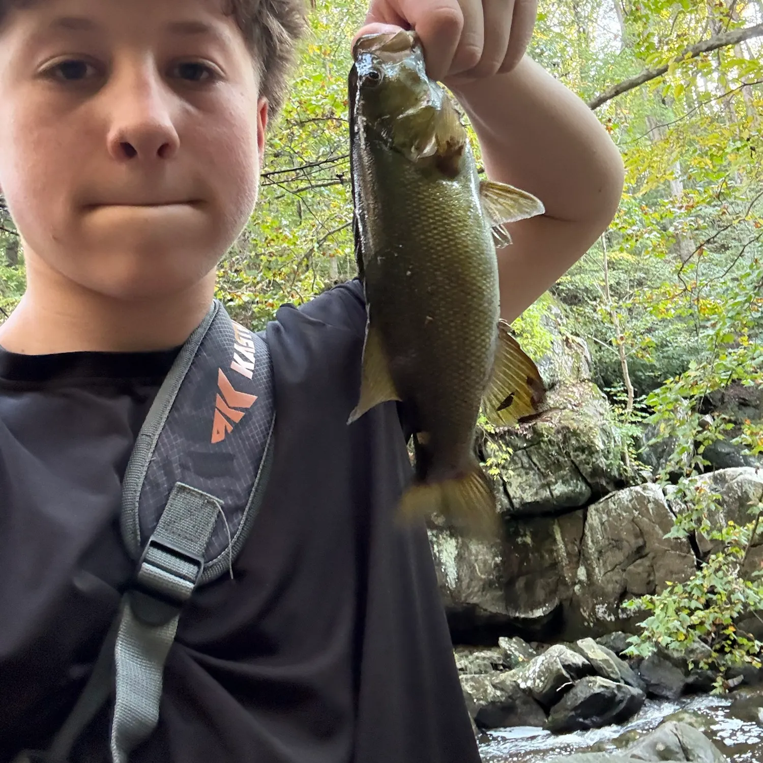 Smallmouth bass caught on Fishbrain