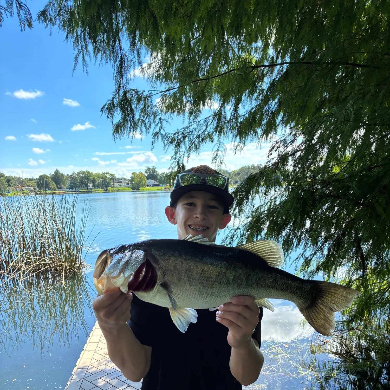 Largemouth bass caught on Fishbrain